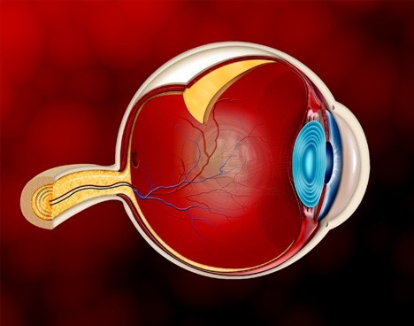 Lucentis Eye